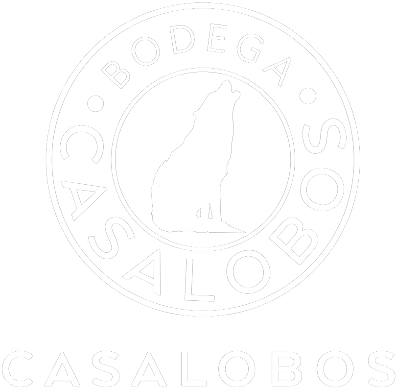 logo bodega casa lobos